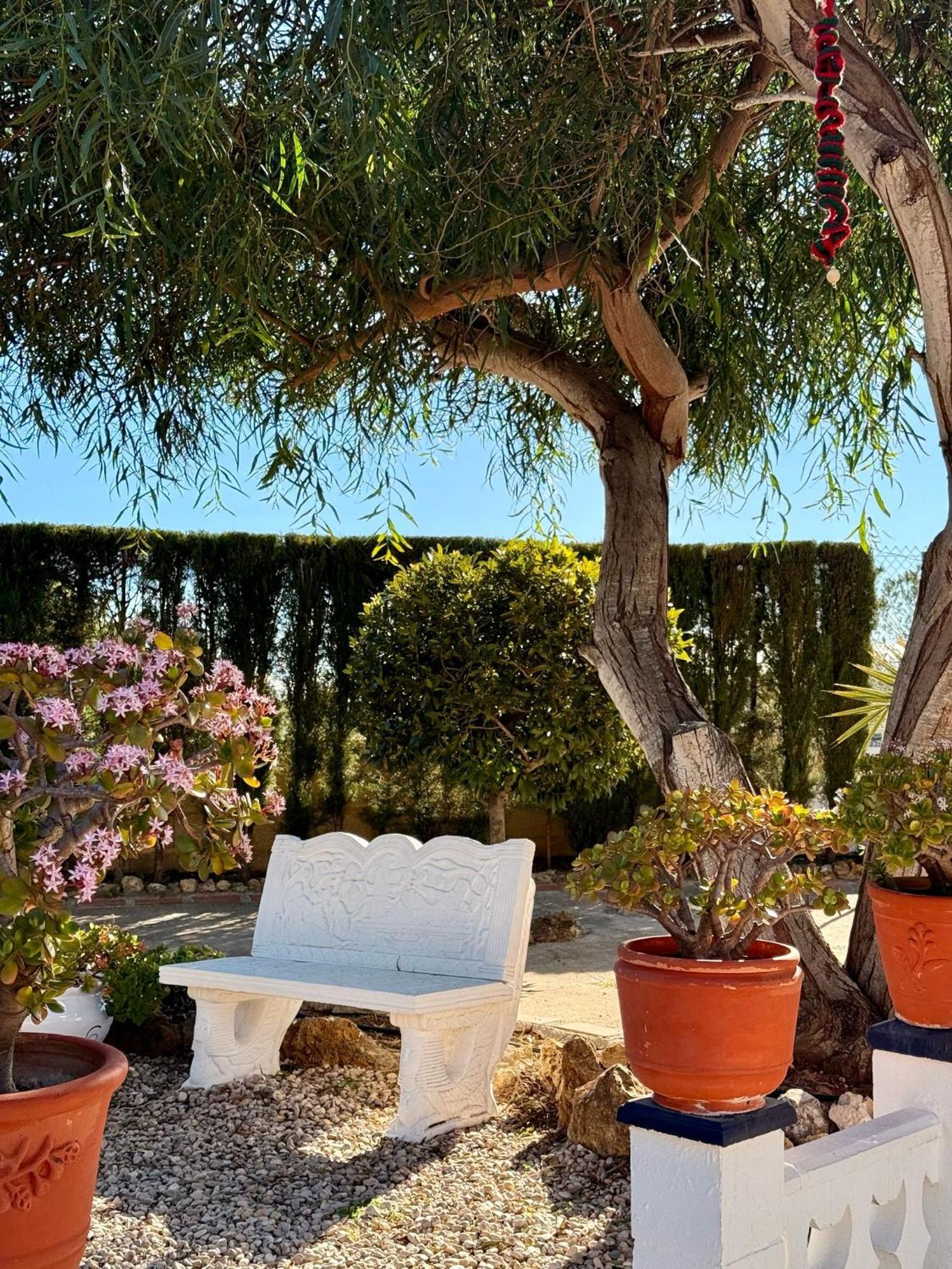 Finca Malata Turís エクステリア 写真