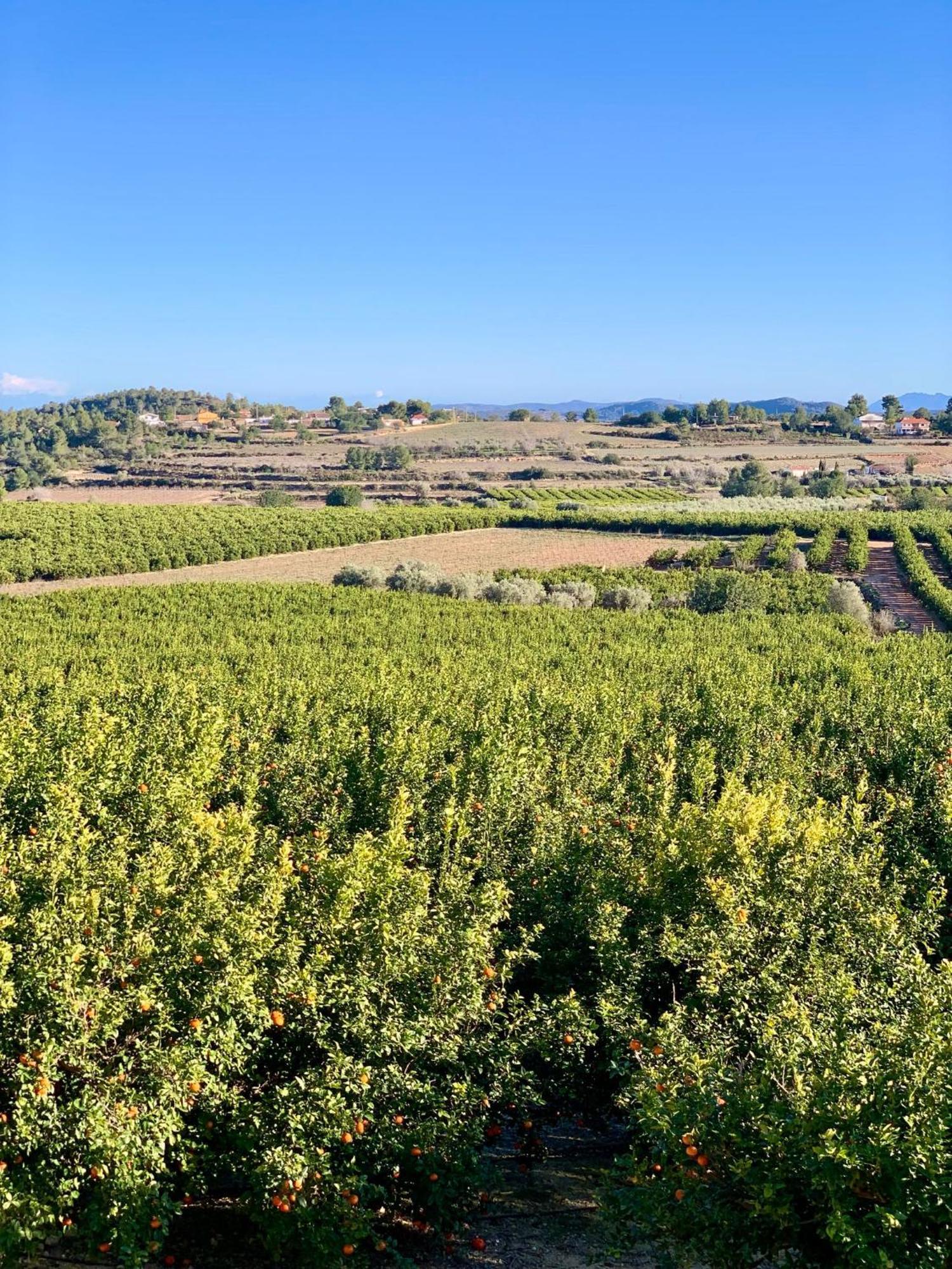 Finca Malata Turís エクステリア 写真